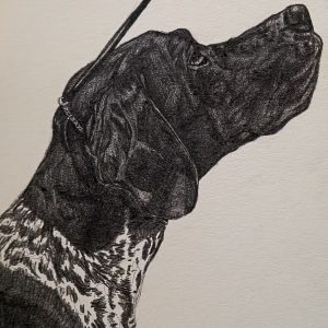 Pet Portrait (B&W)