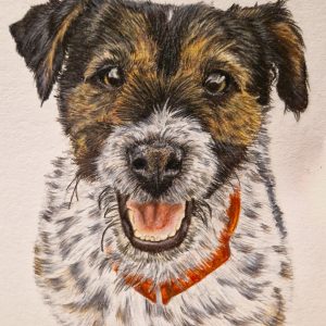 Pet Portrait (Coloured)