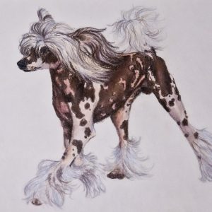 Full Body Portrait (Coloured)