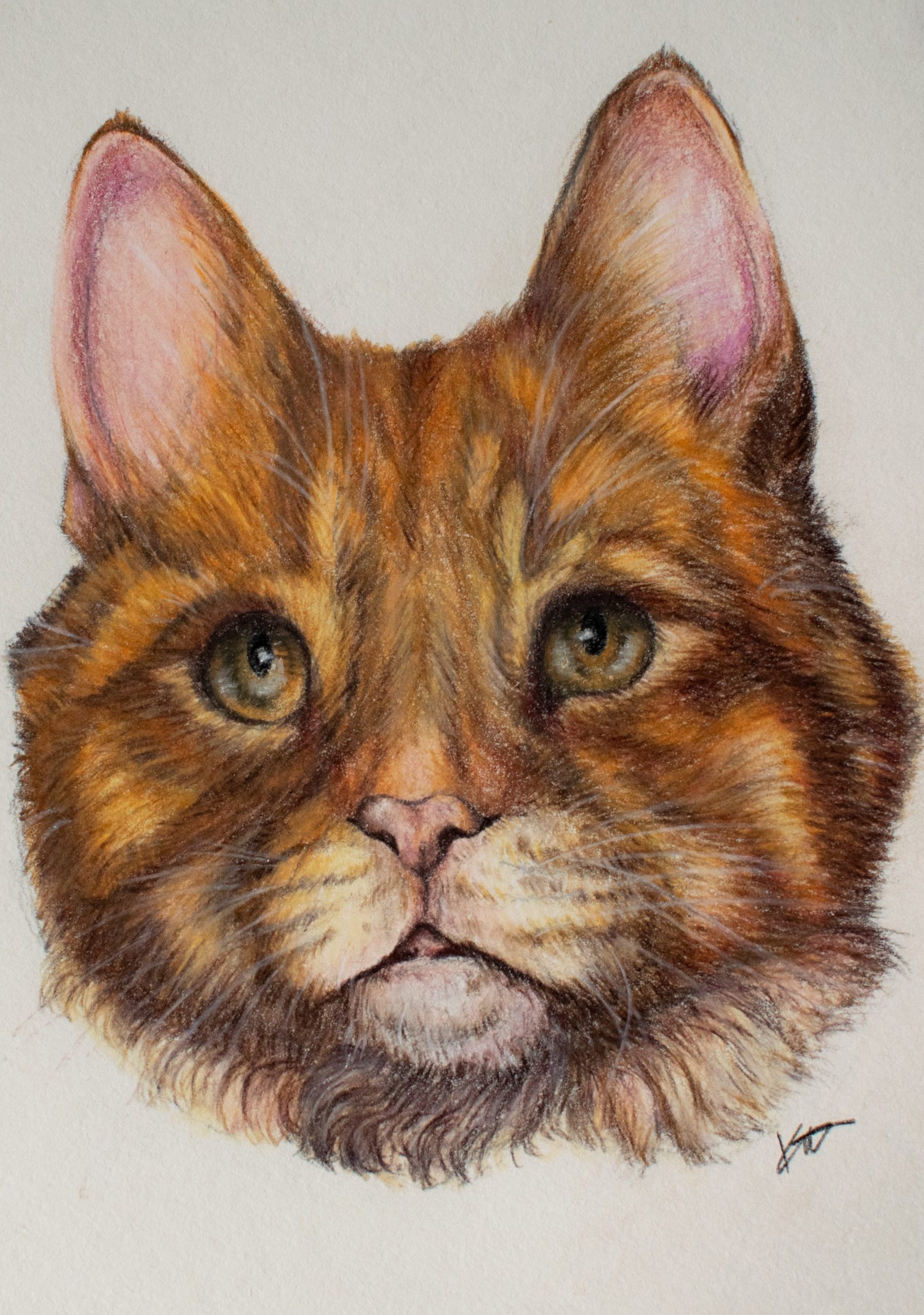 Hand-drawn coloured pencil pet portrait of a ginger tabby cat, detailed custom cat portrait artwork capturing the cat’s expressive green eyes, soft fur texture and distinctive markings in a realistic style.